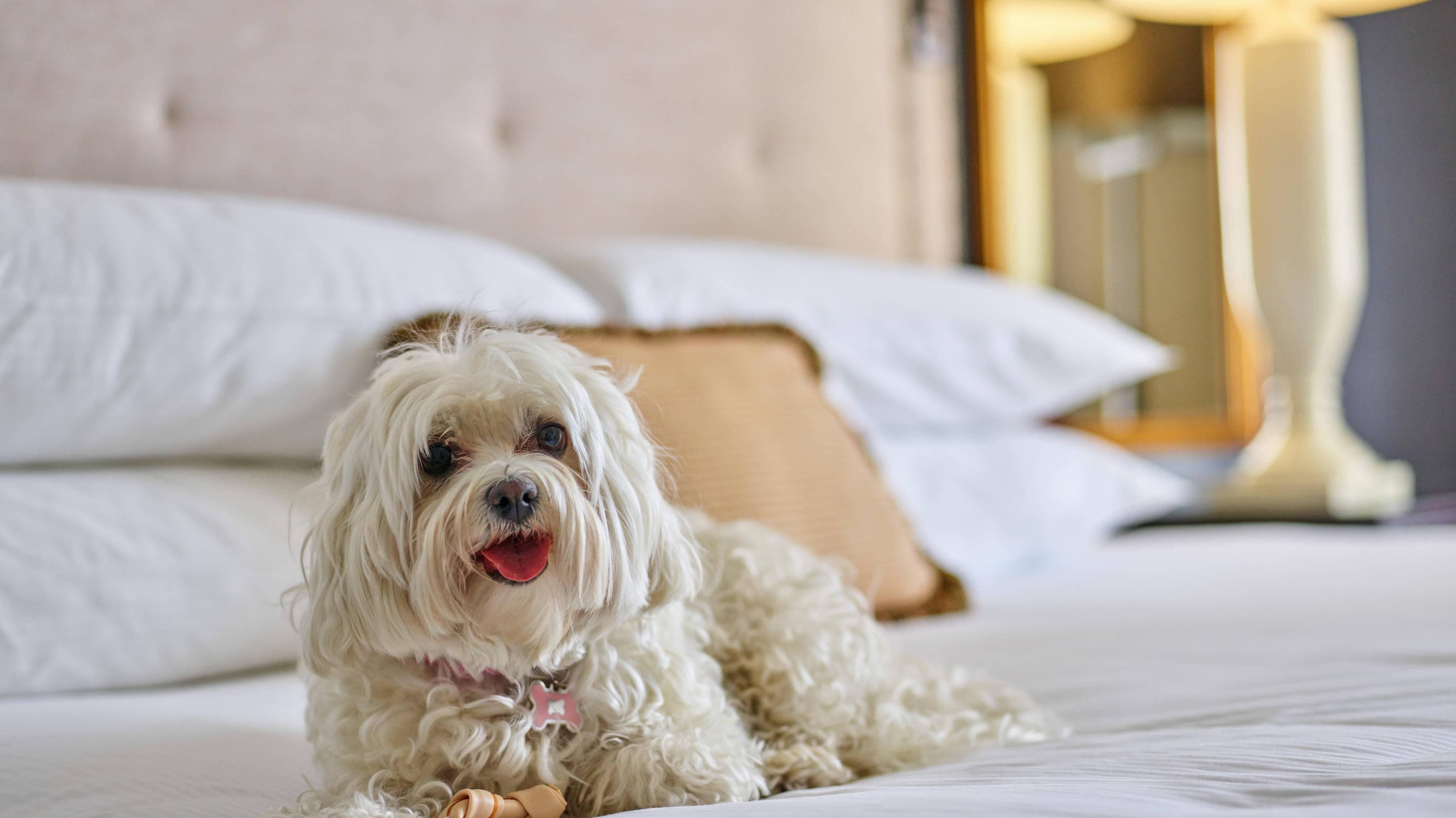 The Brown Palace And Spa, Autograph Collection Hotel Denver